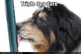Triple Dog Dare