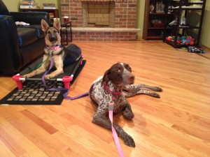 Good Dogs