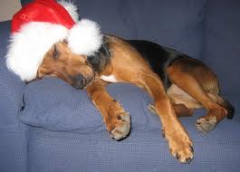Long Winters Nap